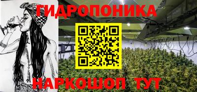 стафф Севастополь