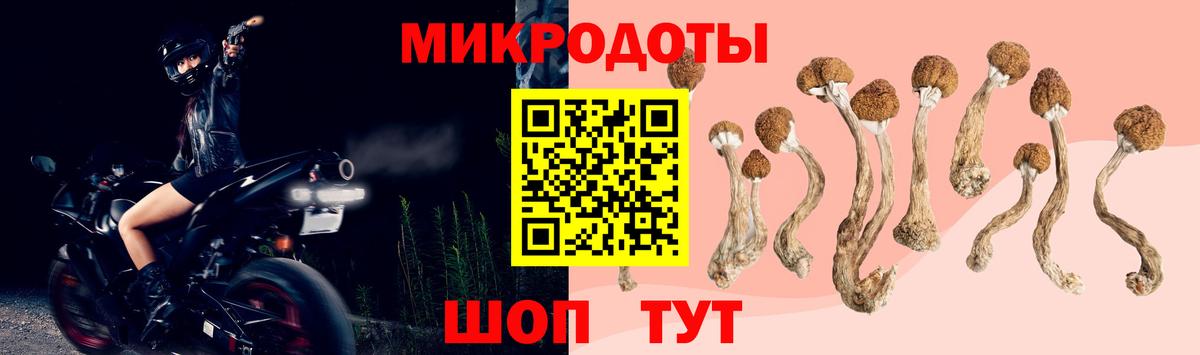 Галлюциногенные грибы прущие грибы Печора